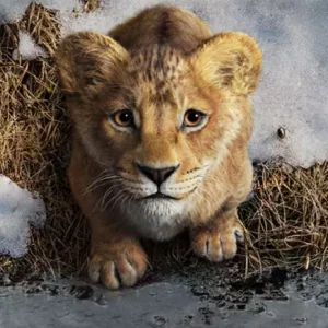 Mufasa: O Rei Leão
