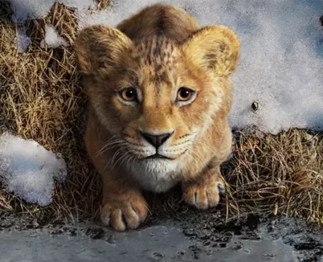 Mufasa: O Rei Leão