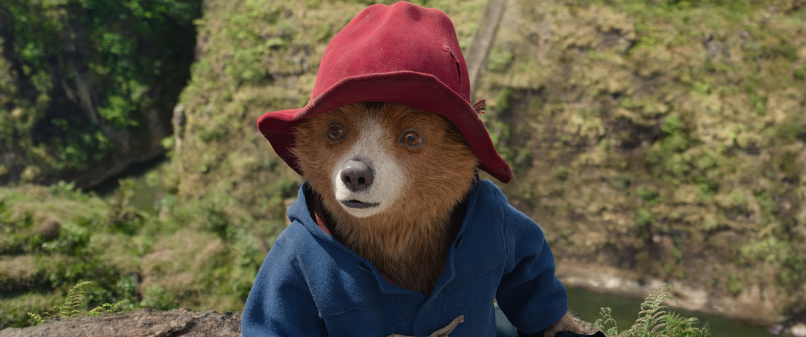 Paddington: Uma Aventura na Floresta | Saiba mais sobre o protagonista