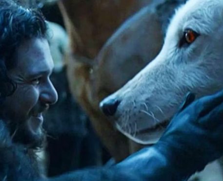 Game of Thrones | Empresa traz de volta espécie de lobo extinta, símbolo da Família Stark