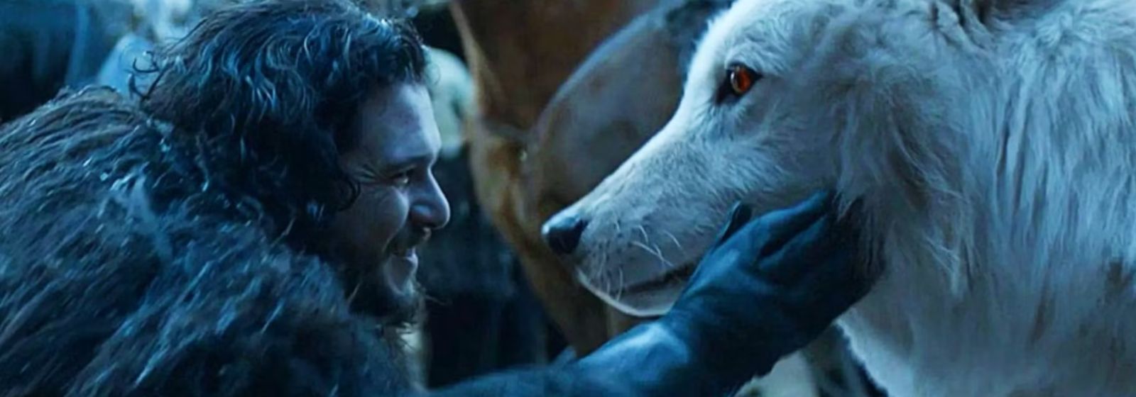 Game of Thrones | Empresa traz de volta espécie de lobo extinta, símbolo da Família Stark