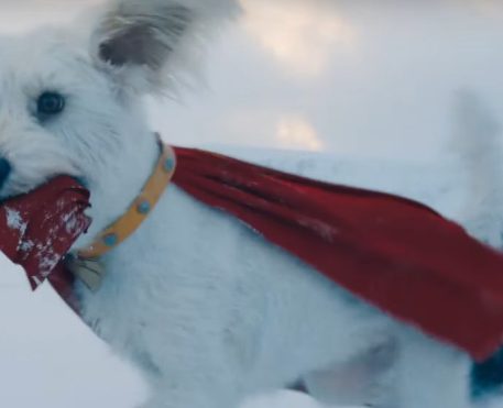 Superman | Filme de James Gunn ganha prévia com Krypto