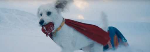Superman | Filme de James Gunn ganha prévia com Krypto
