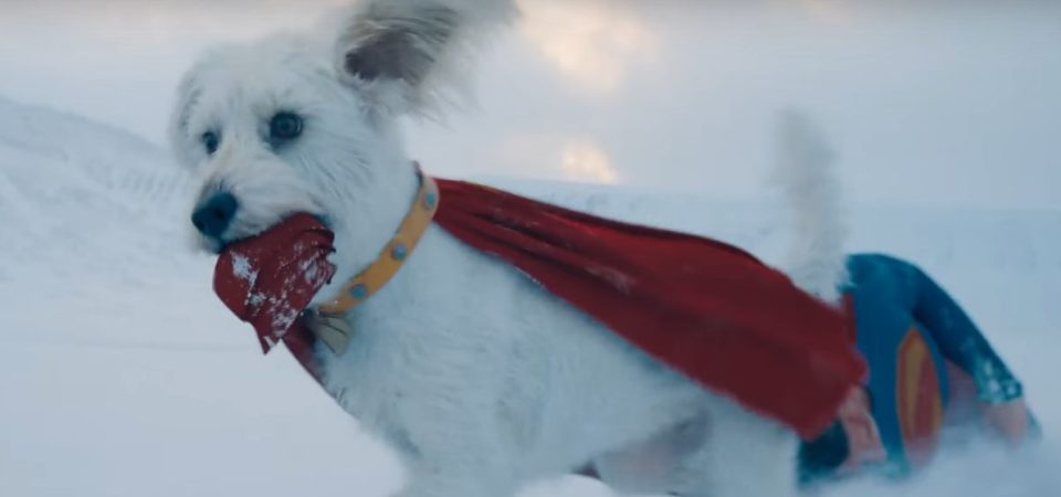 Superman | Filme de James Gunn ganha prévia com Krypto