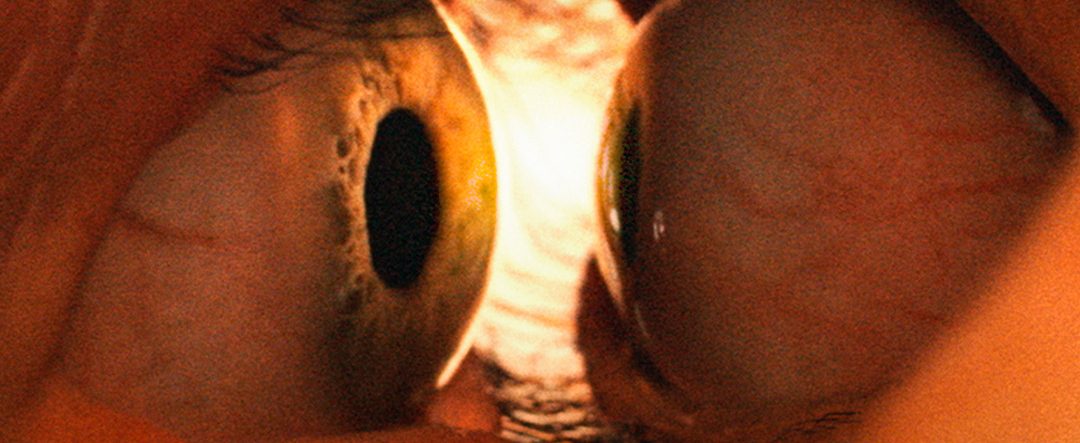 Juntos | Aguardado filme de terror ganha teaser trailer