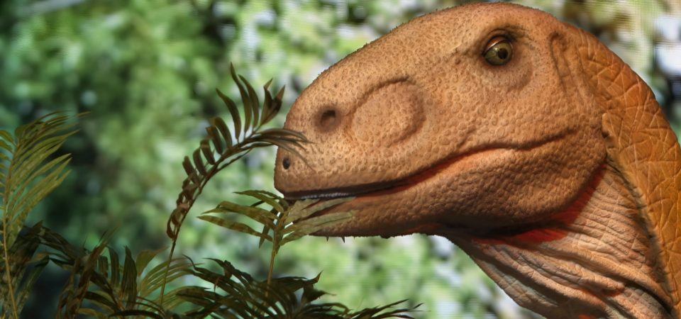 Jurassic Safari Experience 2