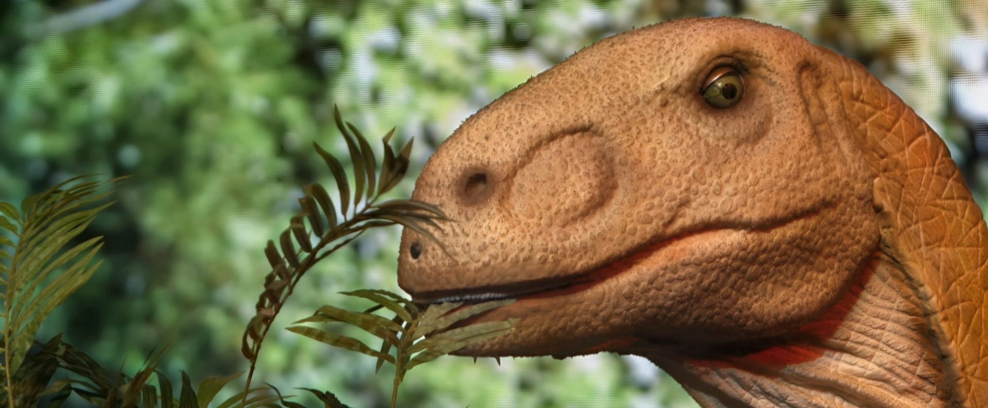 Jurassic Safari Experience 2