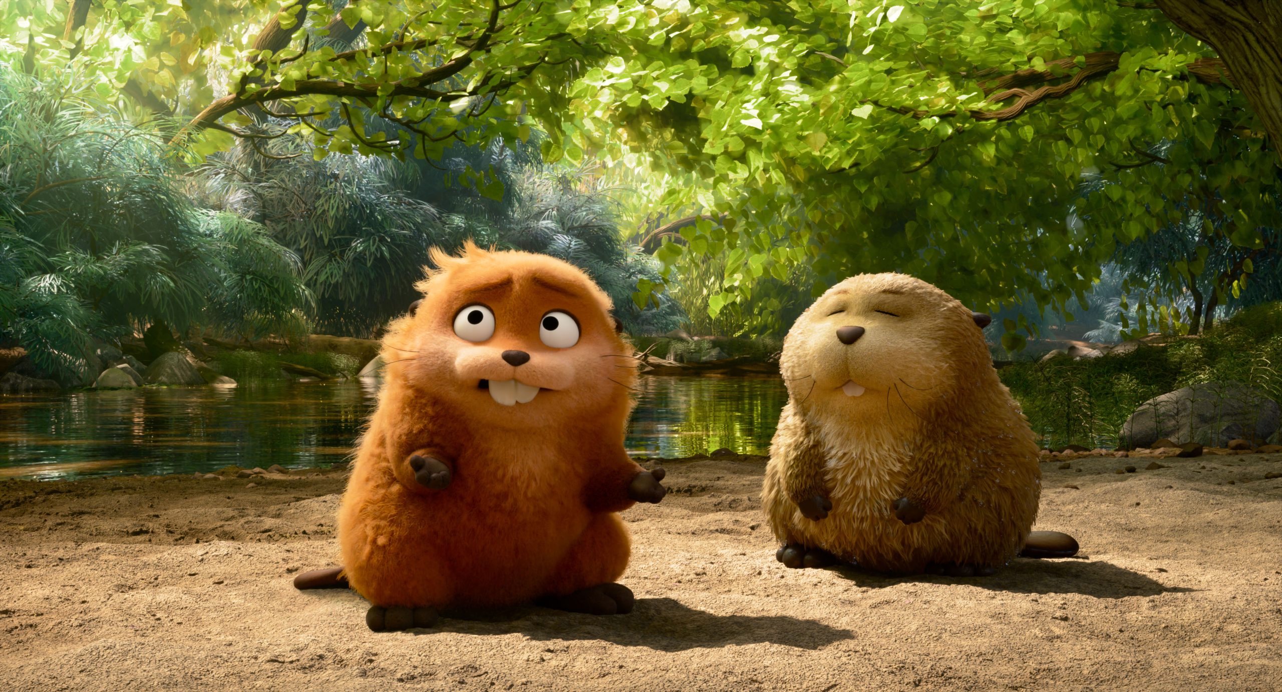 Cara de Um, Focinho de Outro ganha trailer e cartaz