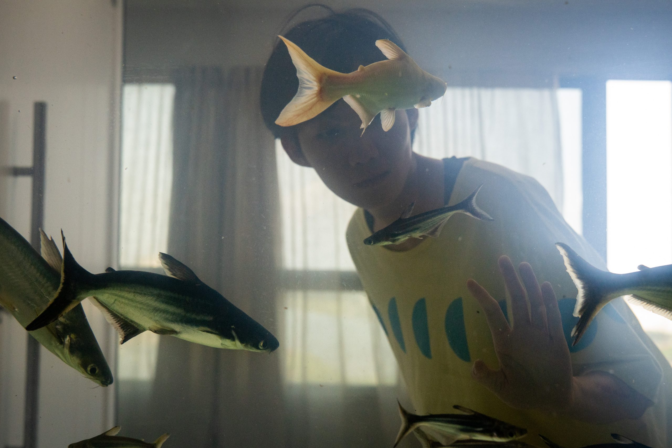 Dormir De Olhos Abertos é o novo filme da Sessão Vitrine Petrobras