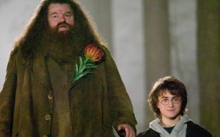 Harry Potter | Série ganha novas imagens de Harry e Hagrid em cena