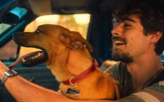 Netflix lança trailer divertido e emocionante do filme Caramelo