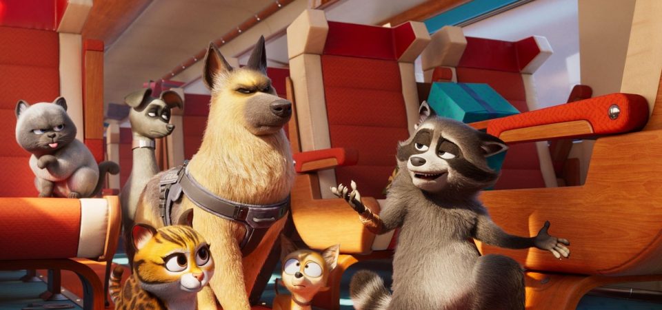 Missão Pet: Uma aventura cheia de humor e carisma.