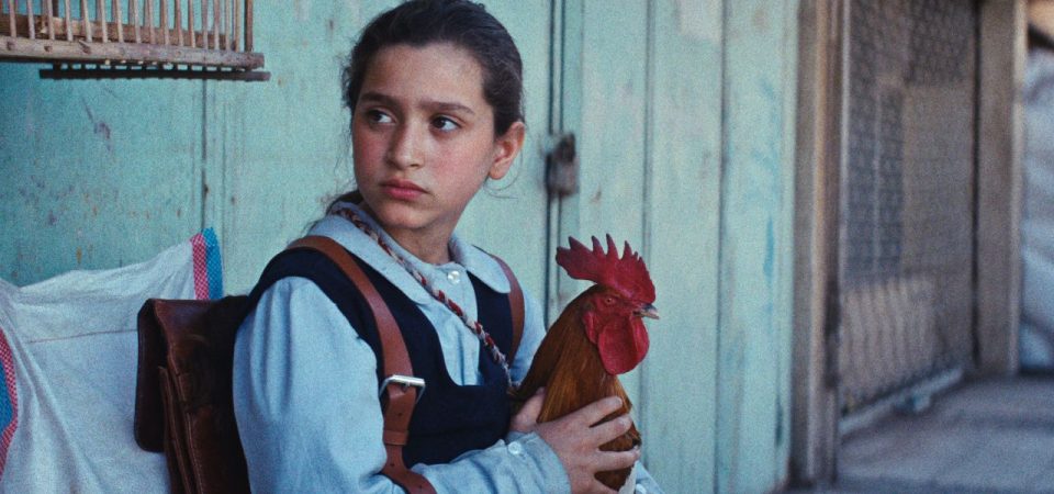 The President’s Cake