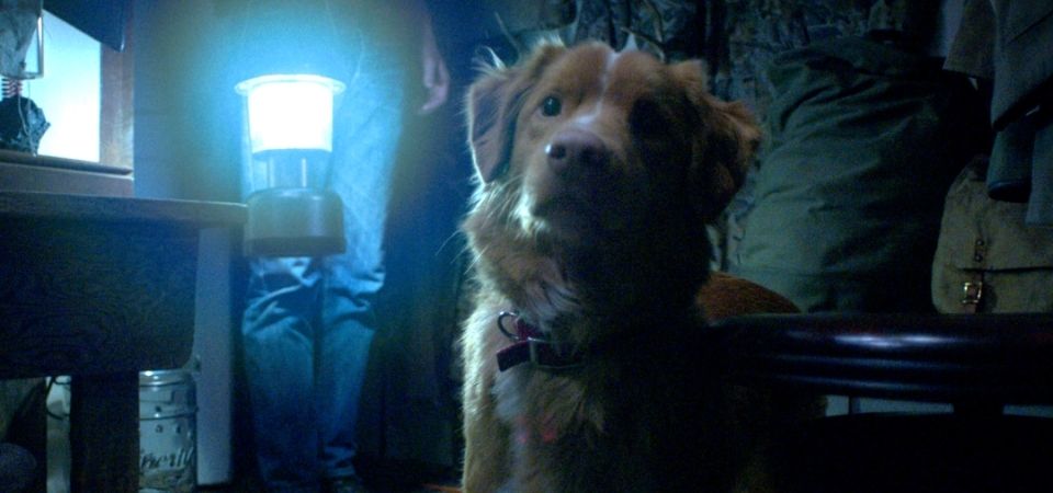 Paris Filmes divulga novo trailer do terror Bom Menino