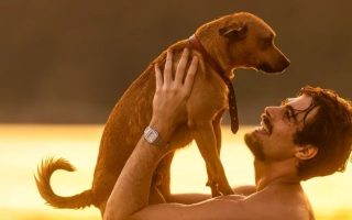Netflix lança campanha de adoção de cães inspirada no filme Caramelo