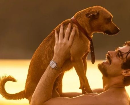 Netflix lança campanha de adoção de cães inspirada no filme Caramelo