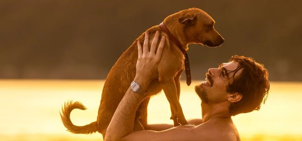 Netflix lança campanha de adoção de cães inspirada no filme Caramelo