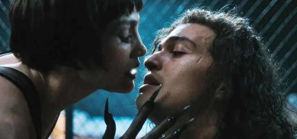 O Beijo da Mulher Aranha ganha data de estreia no Brasil