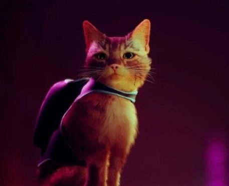 PlayStation anuncia os jogos da PS Plus do mês de novembro