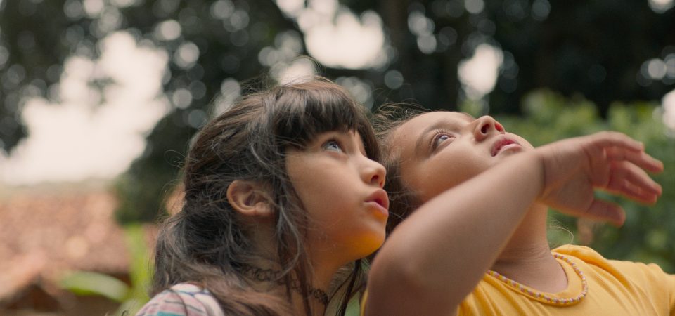 A Natureza das Coisas Invisíveis: a potência da amizade e a finitude