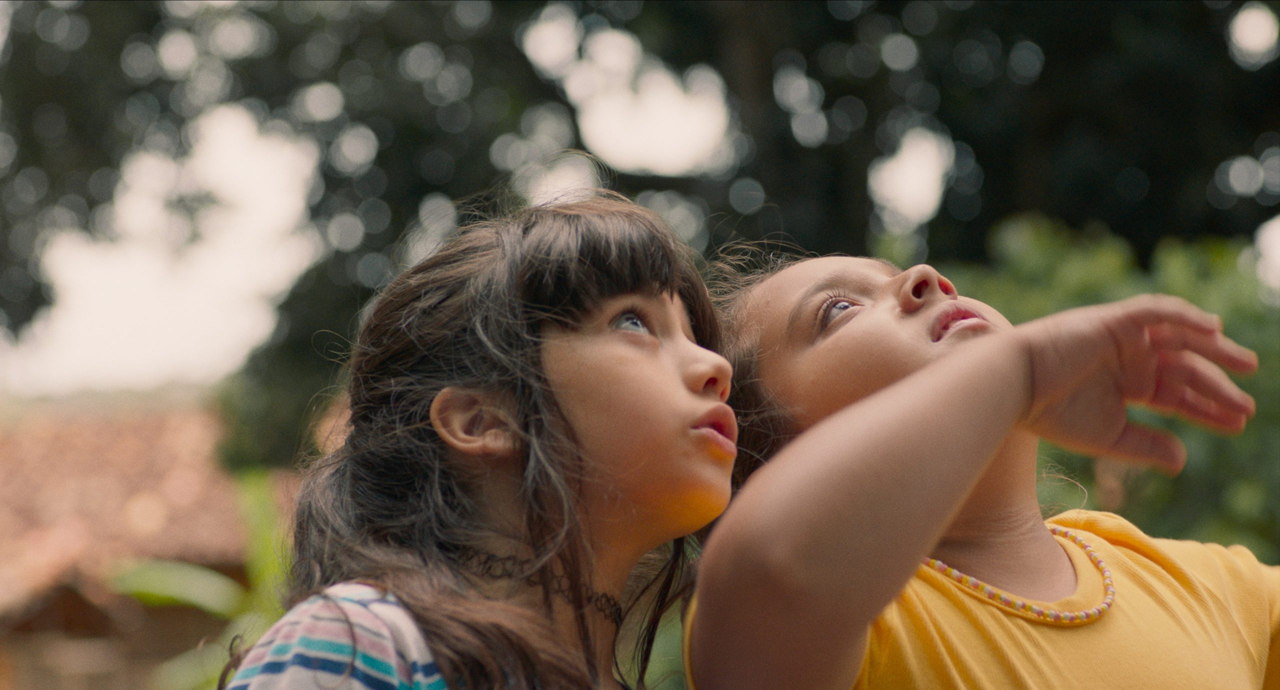 A Natureza das Coisas Invisíveis: a potência da amizade e a finitude