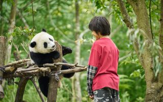 O Menino e o Panda ganha trailer e cartaz