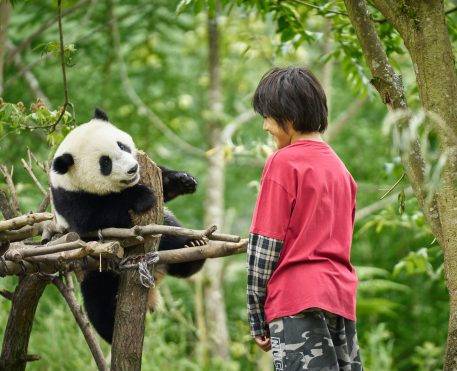 O Menino e o Panda