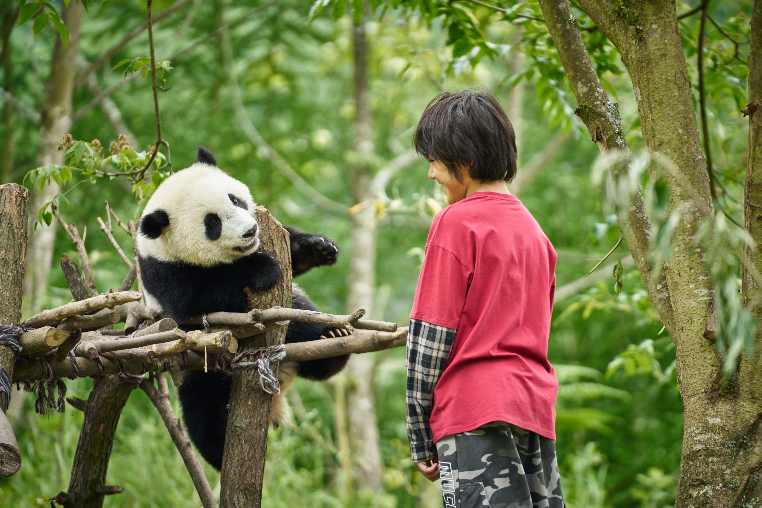 O Menino e o Panda ganha trailer e cartaz