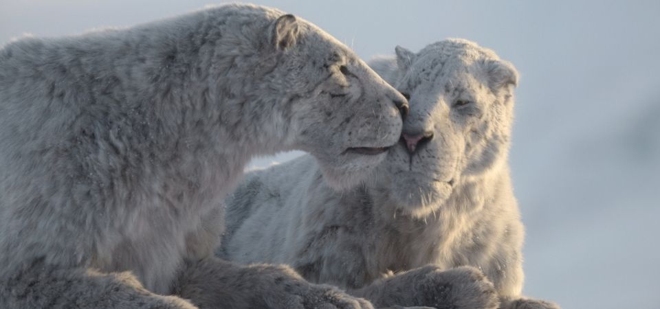 Planeta Pré-Histórico