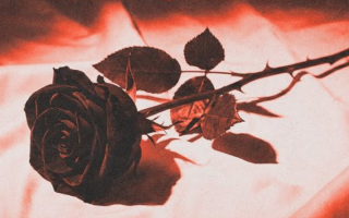 A Estranha Na Cama | Livro de Raphael Montes será adaptado para o cinema