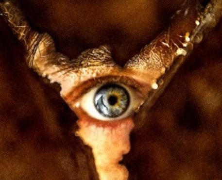 Terror em Silent Hill: Regresso Para o Inferno