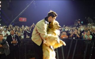 Minha Vida com Shurastey surpreende o público na CCXP25