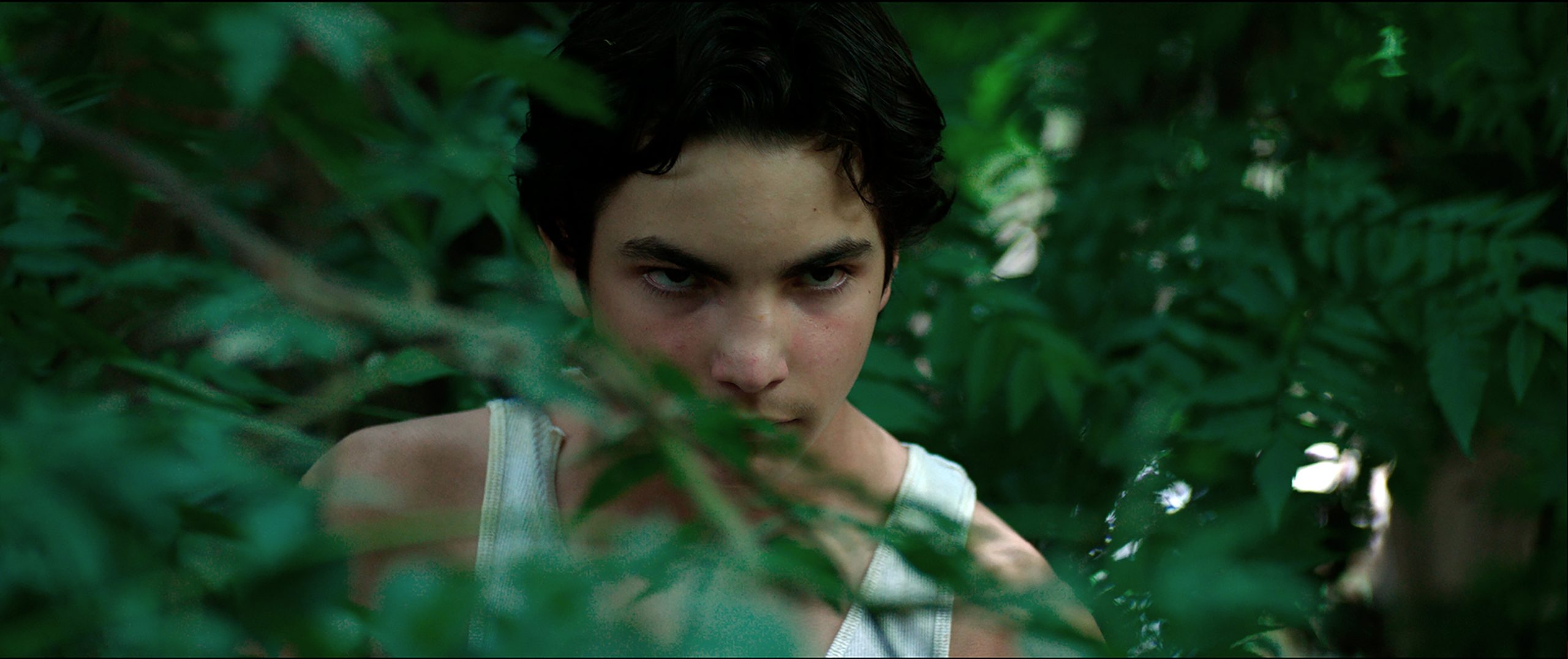 Zafari | Distopia latino-americana ganha primeiro trailer