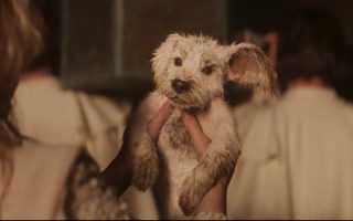 Krypto é destaque em nova prévia de Supergirl