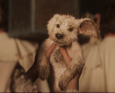 Krypto é destaque em nova prévia de Supergirl