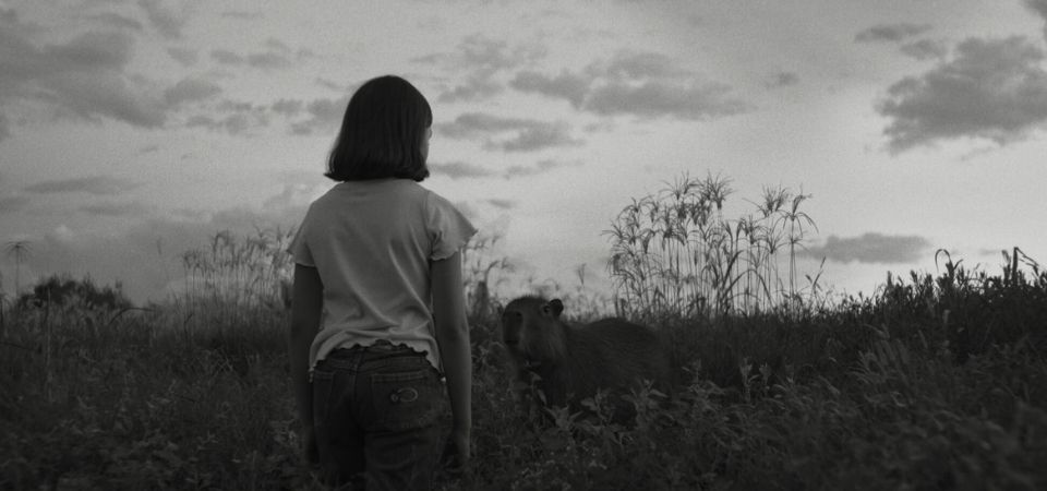 A Mensageira explica a dor da perda com fé, ambiguidade e silêncio