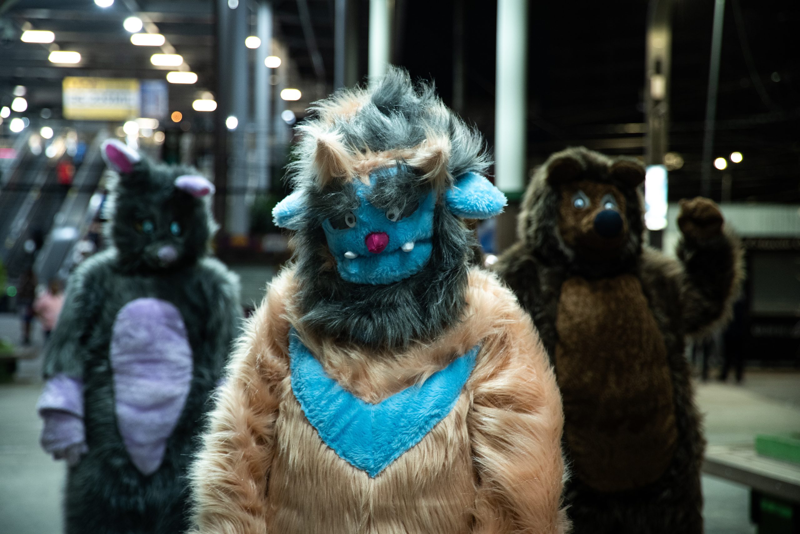 Máfia de Pelúcia | Saiba mais sobre o thriller nacional