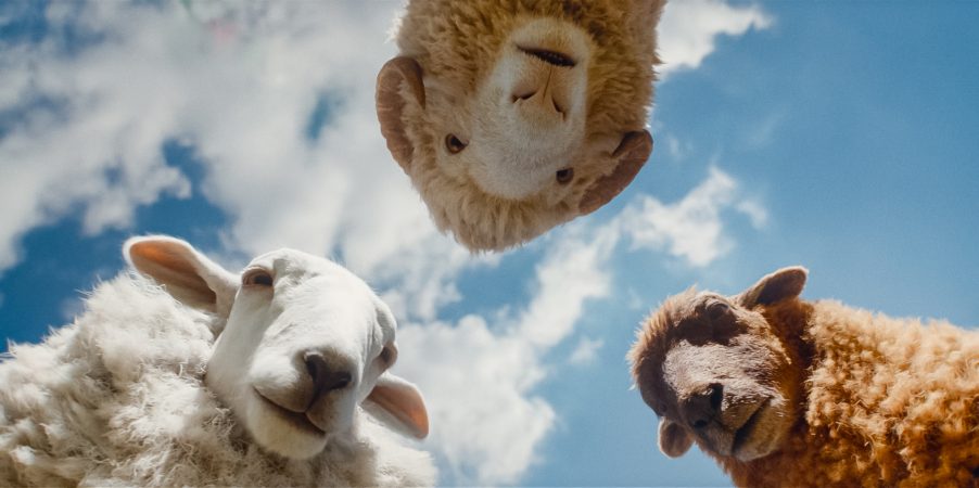 As Ovelhas Detetives: Hugh Jackman e elenco revelam bastidores em coletiva