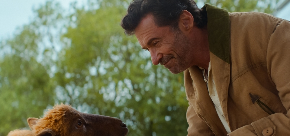 As Ovelhas Detetives: Hugh Jackman e elenco revelam bastidores em coletiva