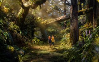 O Bosque Selvagem | Animação em stop-motion ganha primeiro trailer