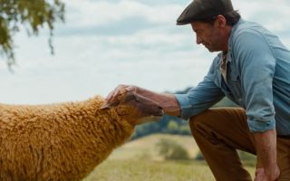 As Ovelhas Detetives já têm data de estreia no Prime Video