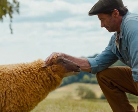 As Ovelhas Detetives já têm data de estreia no Prime Video