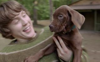 Ele é real! Netflix revela o pequeno Scooby de Scooby-Doo: A Origem