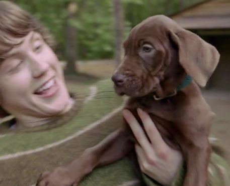 Ele é real! Netflix revela o pequeno Scooby de Scooby-Doo: A Origem