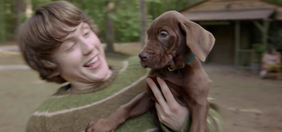 Ele é real! Netflix revela o pequeno Scooby de Scooby-Doo: A Origem