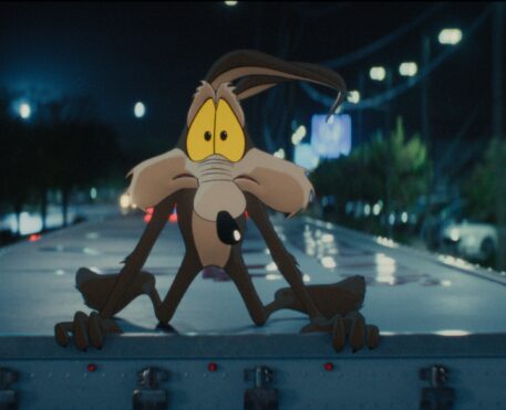 Coyote Vs. Acme