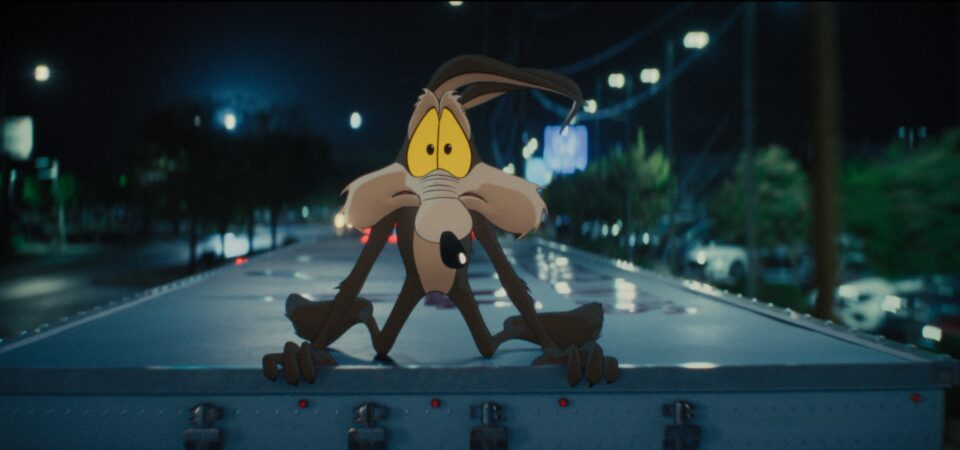 Coyote Vs. Acme