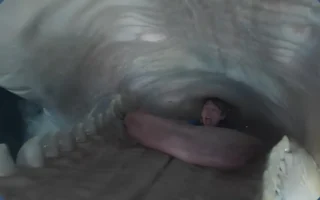 Dentro da Baleia ganha trailer e cartaz